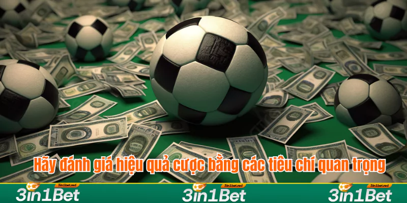 Hãy đánh giá hiệu quả cược bằng các tiêu chí quan trọng Hãy đánh giá hiệu quả cược bằng các tiêu chí quan trọng