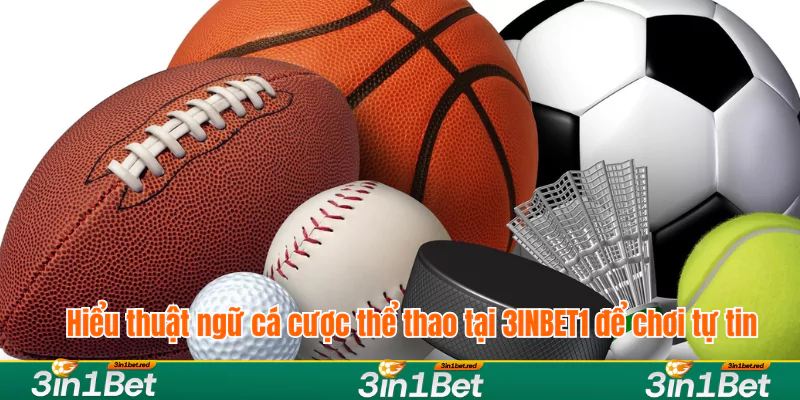 Hiểu thuật ngữ cá cược thể thao tại 3INBET1 để chơi tự tin Hiểu thuật ngữ cá cược thể thao tại 3INBET1 để chơi tự tin