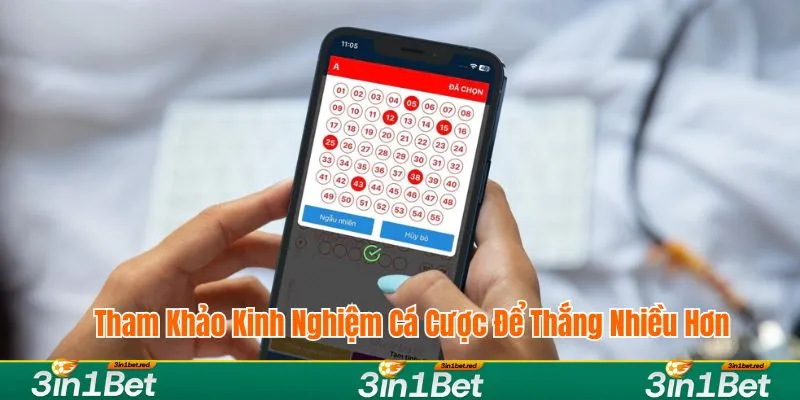 Tham khảo kinh nghiệm cá cược để thắng nhiều hơn Tham khảo kinh nghiệm cá cược để thắng nhiều hơn